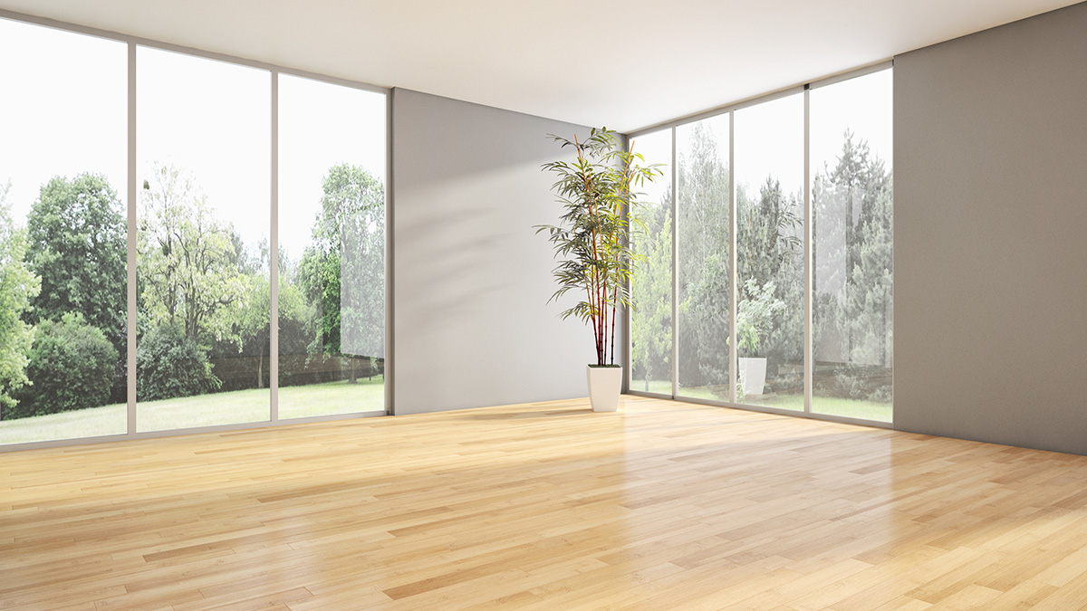 Hardwood Flooring Discoloration Common Causes and Prevention